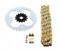 Polaris 500 Predator Gold O Ring Chain Sprocket Silver 14 37
