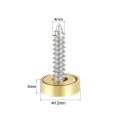 Uxcell Mirror Screws Decorative Caps Cover Nails Polished Gold 12mm 8pcs