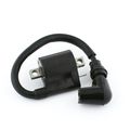 Ignition Coil For Yamaha Blaster 200 Yfs200 Raptor 250 Yfm25r Ttr230 And Arctic Cat 500 4x4 400 2x4 Atv Part Number Ic102 10 
