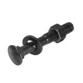 M12x75mm Square Neck Carriage Bolts With Nuts Washers 12set 304 Stainless Steel Round Head Coach Bolt Screws Black 