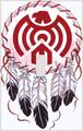 Indian Dream Catcher Decorative Switchplate Cover 