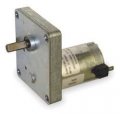 Dc Gearmotor 25 Rpm 12v Tenv 