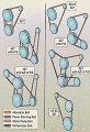 1965-1967 Corvette Water Pump Belt 427