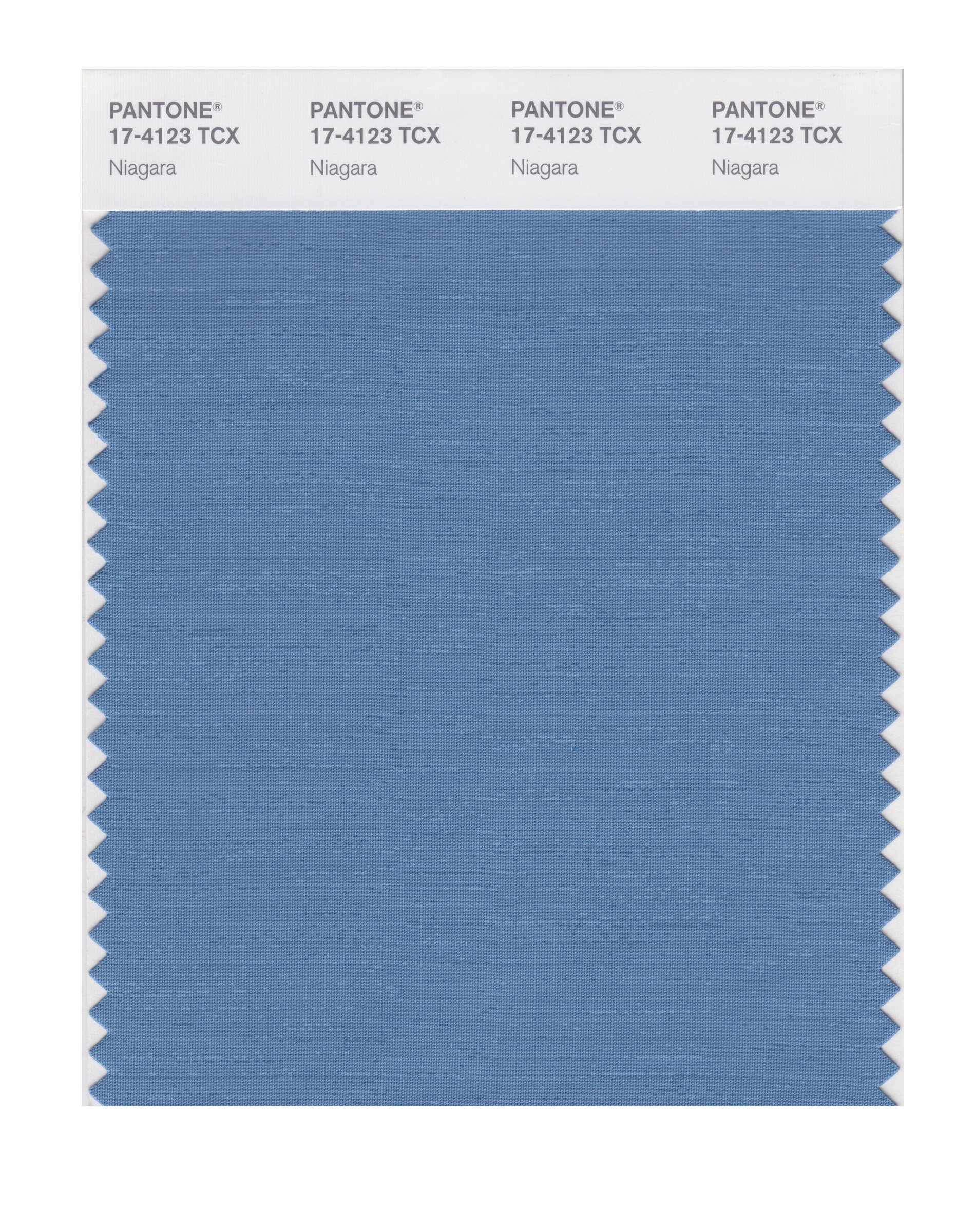 Pantone Smart 17-4123x Color Swatch Card Niagara