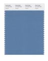 Pantone Smart 17-4123x Color Swatch Card Niagara 