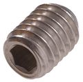 The Hillman Group 3276 10-32 X 1 4-inch Stainless Socket Head Set Screw 20-pack 