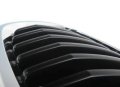 Genuine Bmw X5 E70 X6 E71 Front Radiator Kidney Grille Right 51137305590