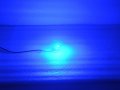 Njytouch 10 X Blue 5smd 5050 Ba9 Ba9s 6253 64111 T11 T4w Led Bulbs Map Door Light