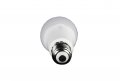 Current Professional Lighting F24w T5830ecocvg Coverguard Linear Fluorescent T5