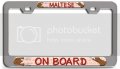 Maltese On Board Dogs Pets Ch 3d Metal License Plate Frame Auto Suv Truck Tag Holder M48 