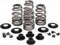 Kibblewhite Precision 20-21300 Performance Rebuild Beehive Valve Spring Kit For 5 16 Stem Valves 610in Lift 
