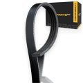 V-ribbed Serpentine Belt For Chevy Silverado 2500 2008 Rubber Black 94 88 In 2410 Mm Effective Length Alx-pau-ac-12576447-cla2