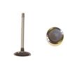 Iv320 Intake Valve For 2004 To 2007 Buick Chevrolet Pontiac Saturn 3 5l V6 Ohv Naturally Aspirated Nitride Coated 44 7mm Head 
