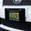 Graphics More Teenage Mutant Ninja Turtles Select Your Novelty Metal Vanity Tag License Plate