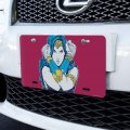 Graphics More Wonder Woman Movie Crossed Arms Novelty Metal Vanity Tag License Plate