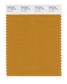 Pantone Smart 17-1048x Color Swatch Card Inca Gold 