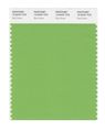 Pantone Smart 15-6442x Color Swatch Card Bud Green 