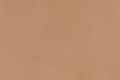 Pro-mark Mocha Brown