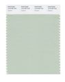 Pantone Smart 13-6108x Color Swatch Card Celadon 