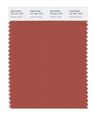 Pantone Smart 18-1451x Color Swatch Card Autumn Glaze 