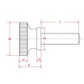M2 Knurled Thumb Screws Stainless Steel M2 X 4 Mm 20