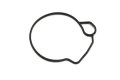 Polaris Atv Float Chamber Seal Genuine Oem Part Qty 1
