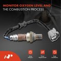 A-premium O2 Oxygen Sensor Compatible With Honda Element 2003-2010 2 4l Upstream Downstream 2-pc Set Replace 36532pzaa01