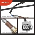 A-premium O2 Oxygen Sensor Compatible With Honda Element 2003-2010 2 4l Upstream Downstream 2-pc Set Replace 36532pzaa01