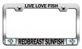 Live Love Fish Redbreast Sunfish Fishing Chrome Metal License Plate Frame Tag Holder W34 