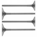 Caltric Intake And Exhaust Valve Compatible With Suzuki Rmz 250 Rm-z250 2007-2015
