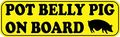 10in X 3in Pot Belly Pig On Board Magnet Vinyl Bumper Magnets By Stickertalk 
