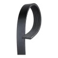 V Ribbed Serpentine Belt For Chevy K1500 Suburban 1994 1995 6 Rib 0 807 In Top Width 2499 Mm Effective Length Gold Standard 