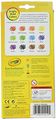 Crayola 12ct Erasable Colored Pencils 