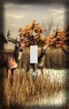 Autumn Deer Decorative Switchplate Cover 