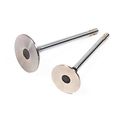 89-00 Geo Chevrolet Metro Pontiac Firefly 1 0 Sohc G10 Intake Exhaust Valves W Valve Seals