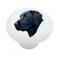 Gotham Decor Black Lab Ceramic Drawer Knob 