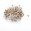 Carbon Film Resistors 500 Piece 