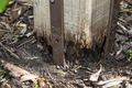 Post Buddy Pack Of 2 Lumber Fence Repair Stakes To Fix 1 Broken