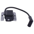 32 707 01-s Ignition Coil Module And Spark Plug 