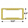 Minions Bob Face License Plate Tag Frame