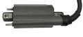 Ignition Coil For Polaris Scrambler Predator Sportsman 2001-2006