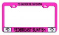 I D Rather Be Catching Redbreast Sunfish Fishing Pink Metal License Plate Frame Tag Holder T91 