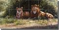 Royal Couple By Edward Aldrich Lions Wildlife Ceramic Tile Mural 25 5 X 12 75 Kitchen Shower Backsplash 