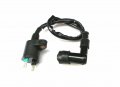 Ignition Coil For Honda Ch125 Ch 125 Elite Scooter 1984 New