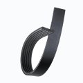 Lincoln Town Car 1995 96 97 98 1999 V-ribbed Serpentine Belt Alternator And Air Conditioning Black 6 Rib 0 81 Inches Top Width