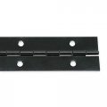 Piano Hinge Enamel 4 Ft L 1-1 2 In W 
