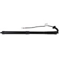 Tailgate 6892079016 6891079016 Power Lift Supports Struts Fit For Lexus Nx200t 2015-2017 For Nx300h 