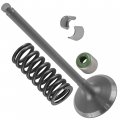 Caltric Intake Valve Kit Compatible With Yamaha Wr250f 2002 2003 2004 2005 2006 5nl-12111-30-00 5nl121113000