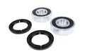 Yamaha Yfm350fw Big Bear Moto Atv Bearings Kit Both Sides Rear Wheels 1996-1999 