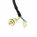 Caltric Stator And Pick Up Coil Compatible With Honda Trx300fw Fourtrax 300 1988-2000